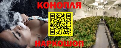 спайс Шелехов
