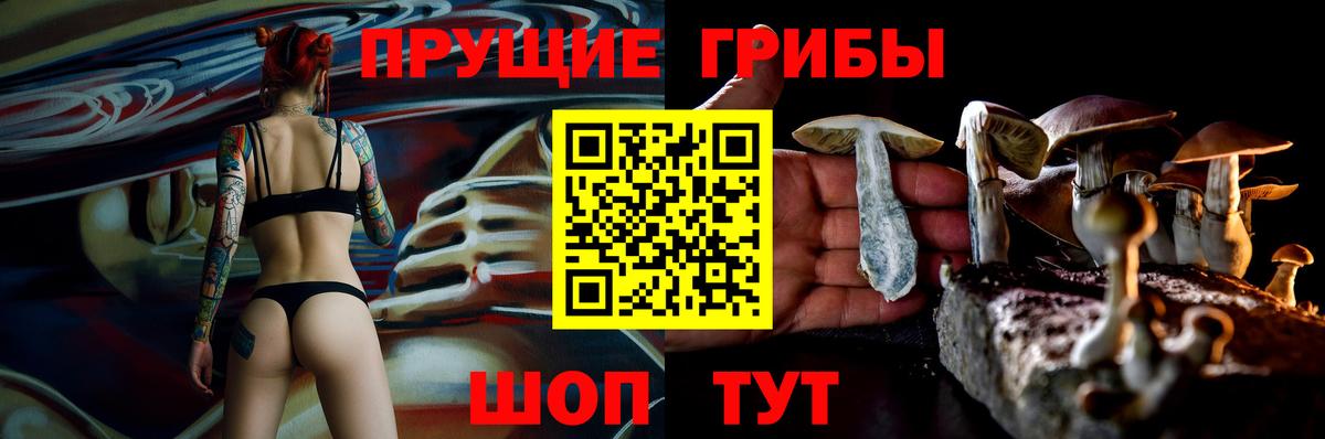 Псилоцибиновые грибы Psilocybe  Вход с VPN  Лесозаводск 
